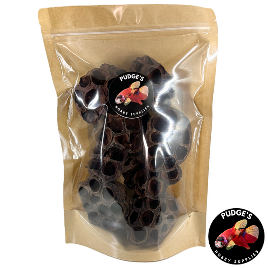 Dried Lotus Pods