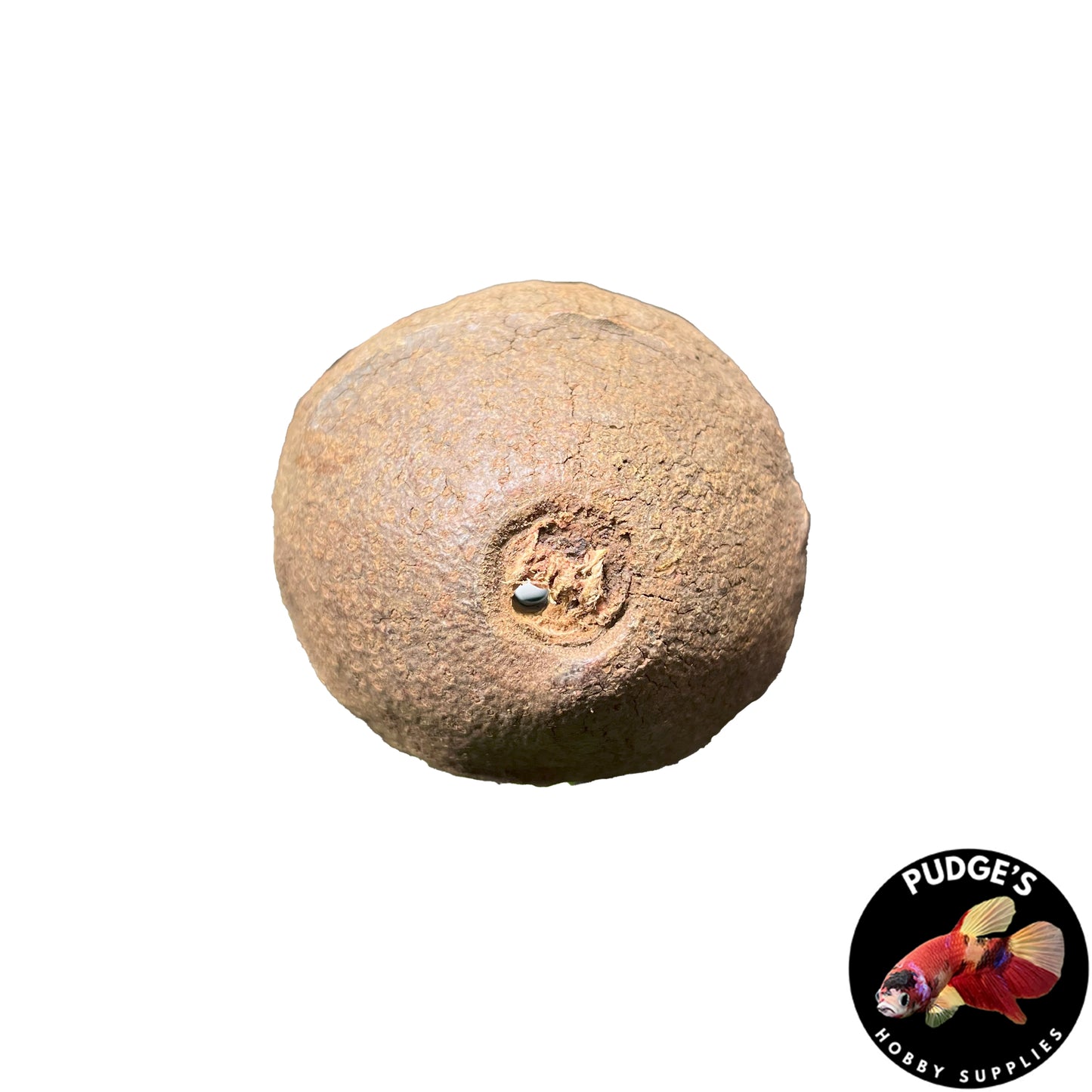 Monkey Pod - Small (3 pcs)