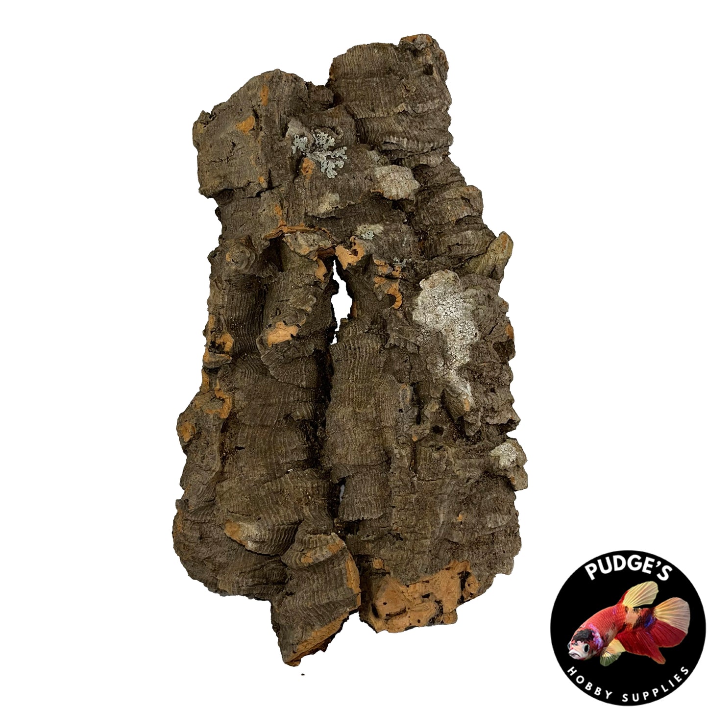 Cork Bark Flats | Large 9" - 13"