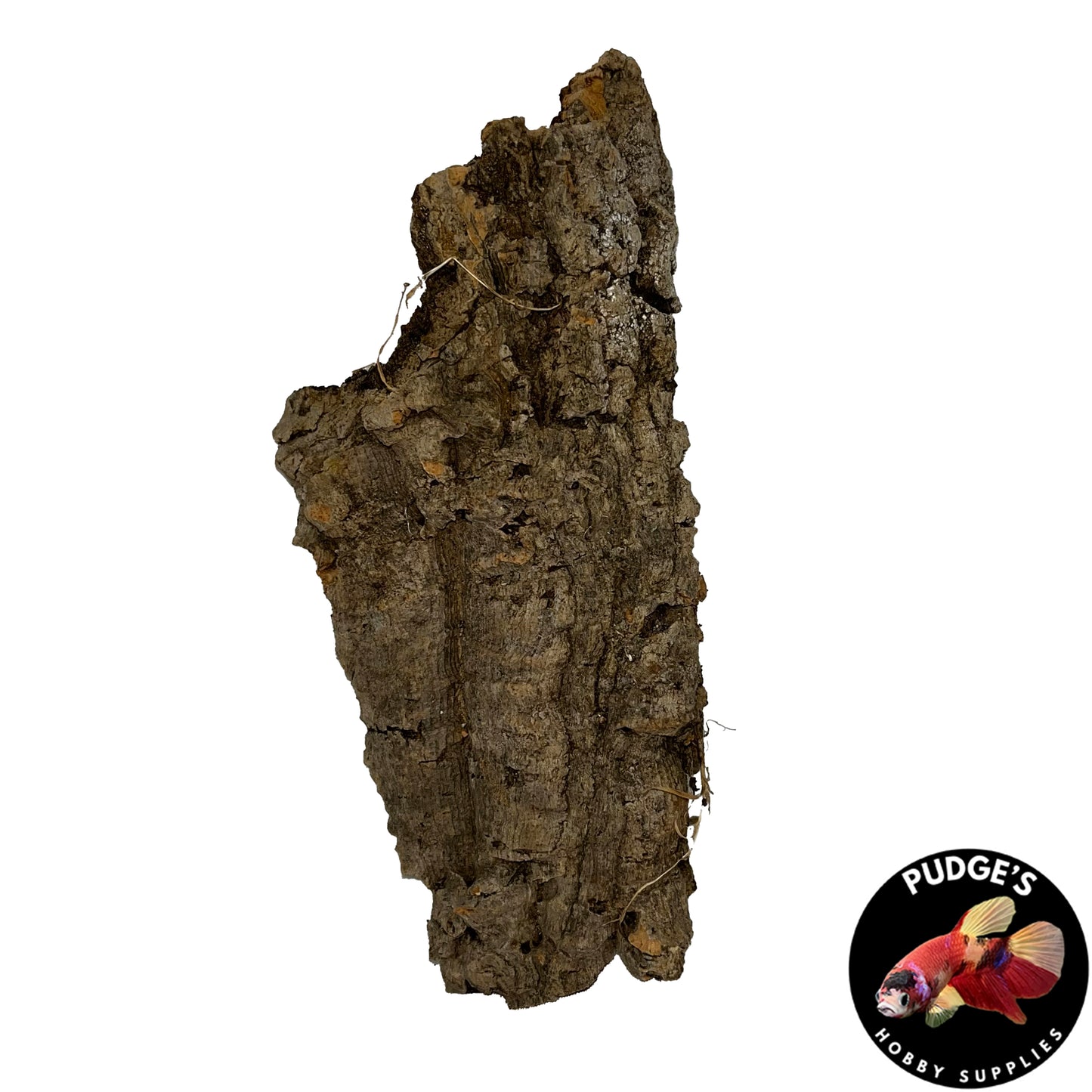 Cork Bark Flats | Small 4" - 9"