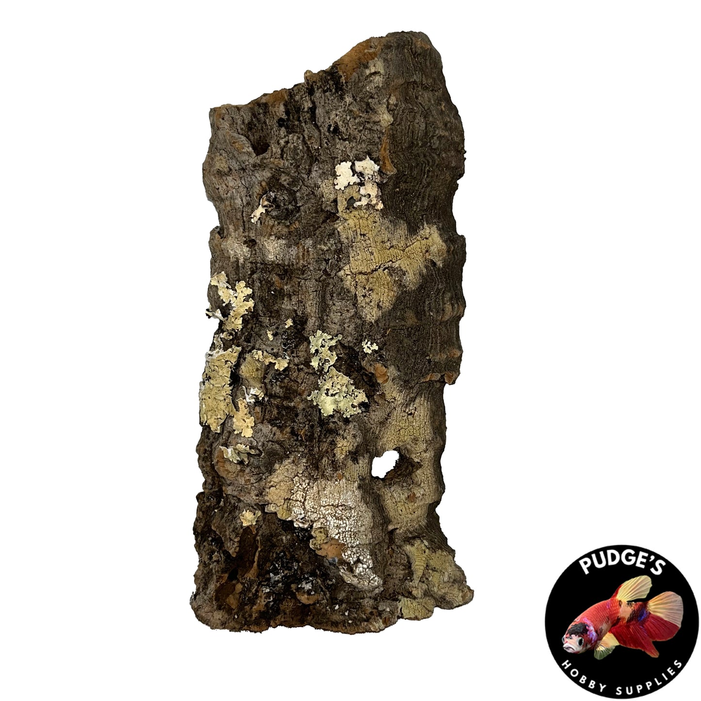 Cork Bark Flats | Small 4" - 9"