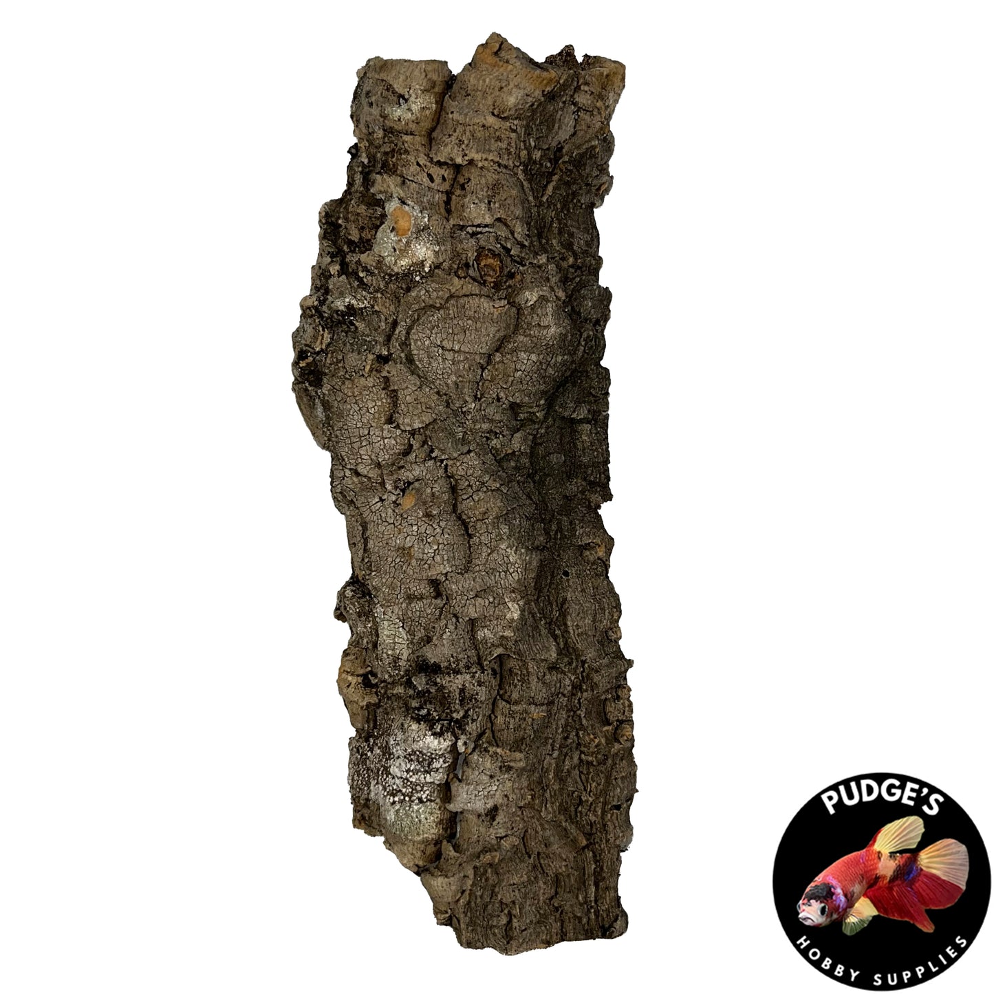 Cork Bark Flats | Small 4" - 9"