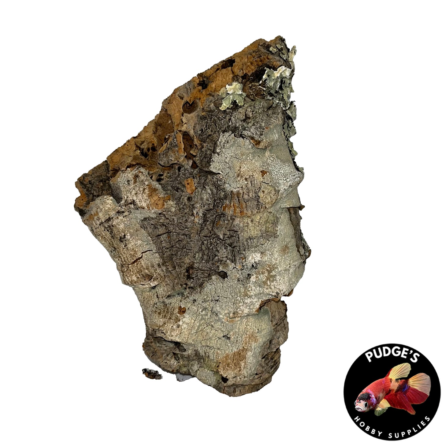 Cork Bark Flats | Small 4" - 9"