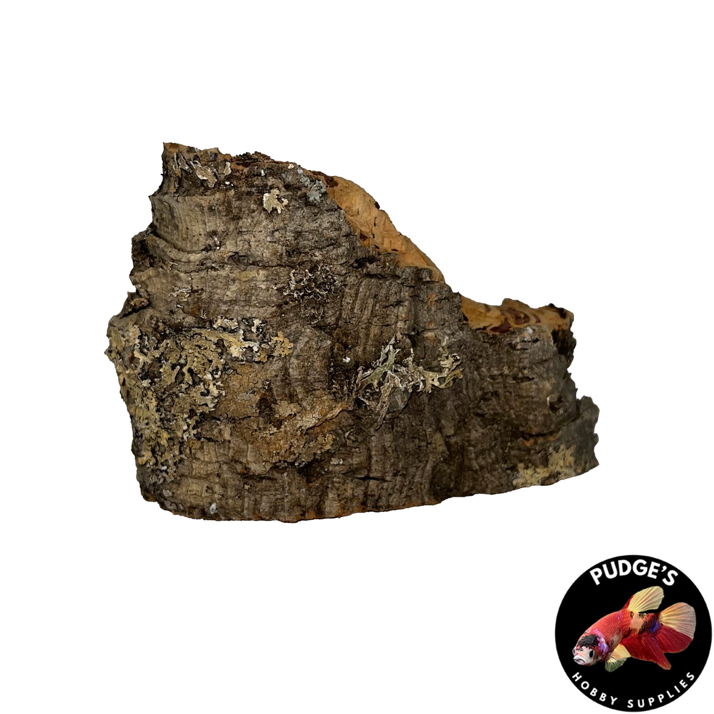 Cork Bark Flats | Small 4" - 9"