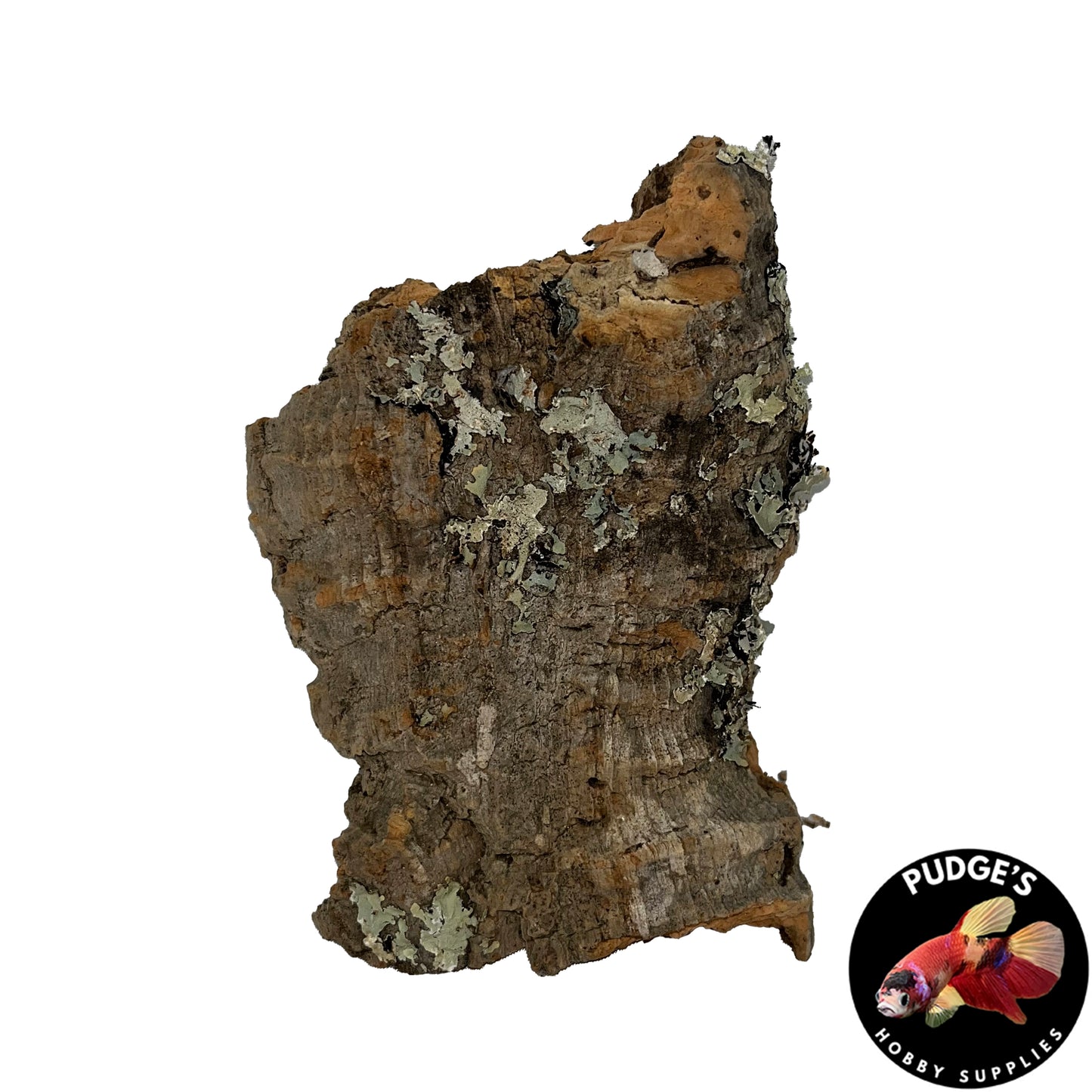 Cork Bark Flats | Small 4" - 9"