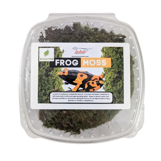 Fresh Frog Moss