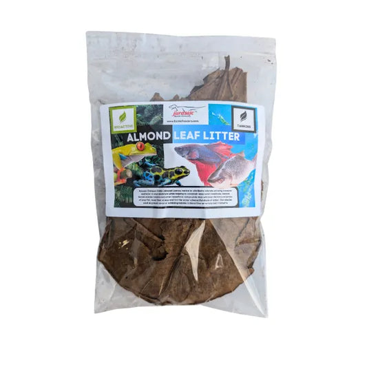 Almond Leaves - Medium