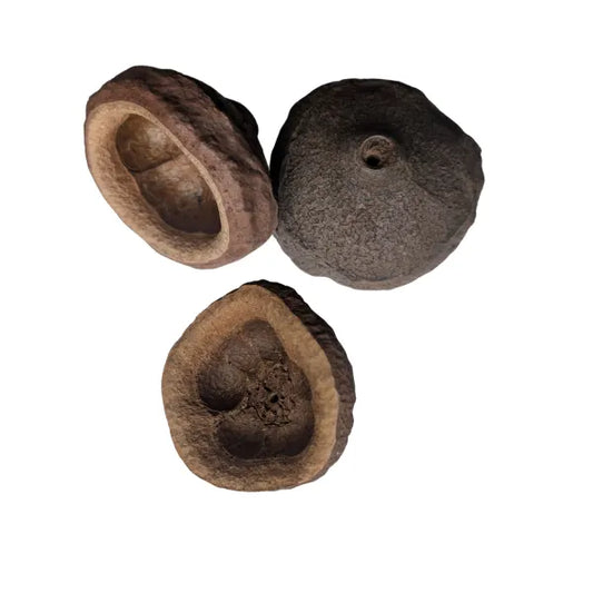 Monkey Pod - Small (3 pcs)